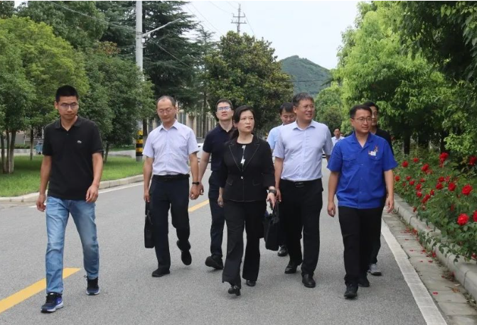 河南省科技廳黨組成員、副廳長陶曼晞一行調(diào)研中南鉆石
